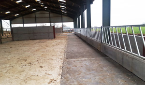 agricultural groundworks rearing shed
