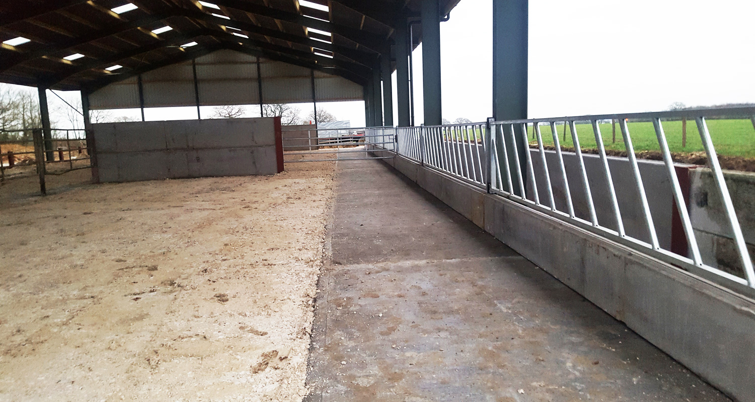 Agricultural groundworks-rearing shed